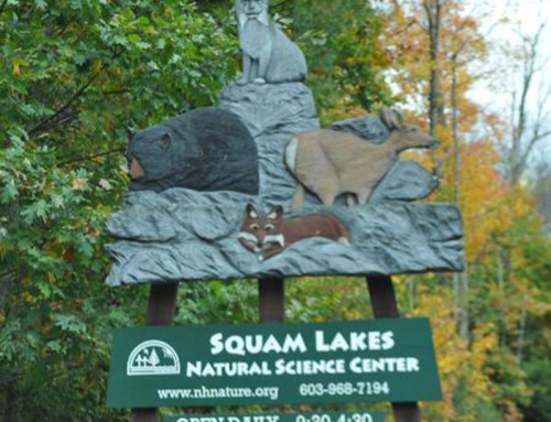 Squam Lake Science Center