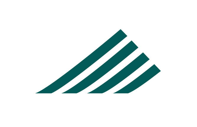 DH Logo Icon
